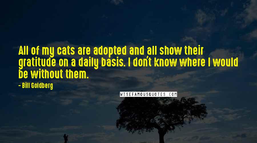 Bill Goldberg Quotes: All of my cats are adopted and all show their gratitude on a daily basis. I don't know where I would be without them.