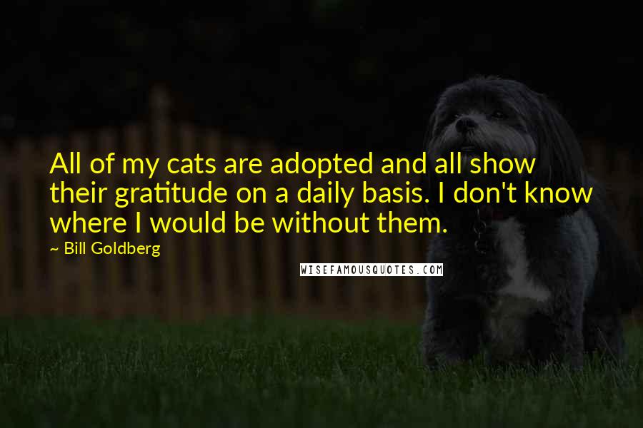 Bill Goldberg Quotes: All of my cats are adopted and all show their gratitude on a daily basis. I don't know where I would be without them.