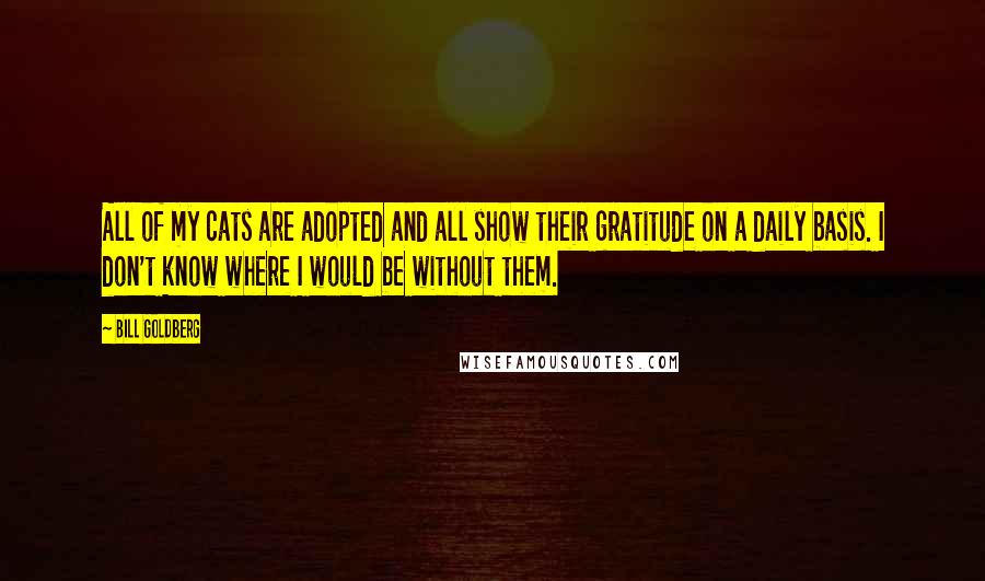 Bill Goldberg Quotes: All of my cats are adopted and all show their gratitude on a daily basis. I don't know where I would be without them.