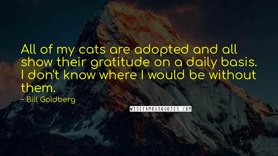 Bill Goldberg Quotes: All of my cats are adopted and all show their gratitude on a daily basis. I don't know where I would be without them.