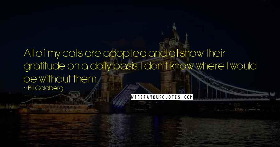 Bill Goldberg Quotes: All of my cats are adopted and all show their gratitude on a daily basis. I don't know where I would be without them.