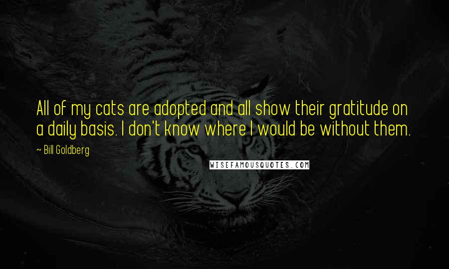 Bill Goldberg Quotes: All of my cats are adopted and all show their gratitude on a daily basis. I don't know where I would be without them.