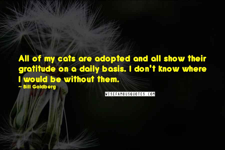 Bill Goldberg Quotes: All of my cats are adopted and all show their gratitude on a daily basis. I don't know where I would be without them.