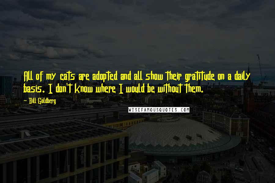 Bill Goldberg Quotes: All of my cats are adopted and all show their gratitude on a daily basis. I don't know where I would be without them.