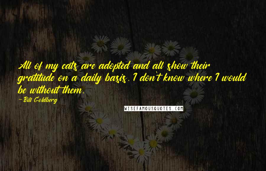 Bill Goldberg Quotes: All of my cats are adopted and all show their gratitude on a daily basis. I don't know where I would be without them.