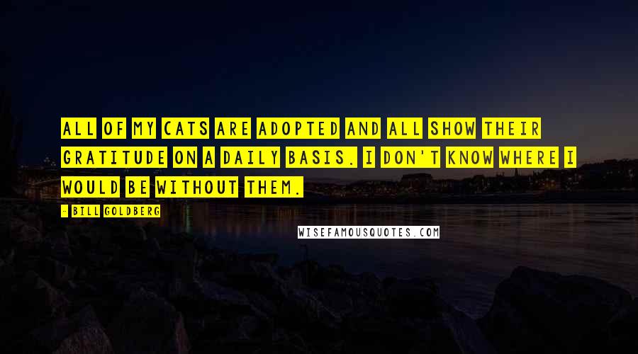 Bill Goldberg Quotes: All of my cats are adopted and all show their gratitude on a daily basis. I don't know where I would be without them.