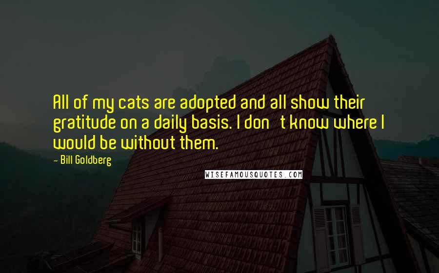 Bill Goldberg Quotes: All of my cats are adopted and all show their gratitude on a daily basis. I don't know where I would be without them.