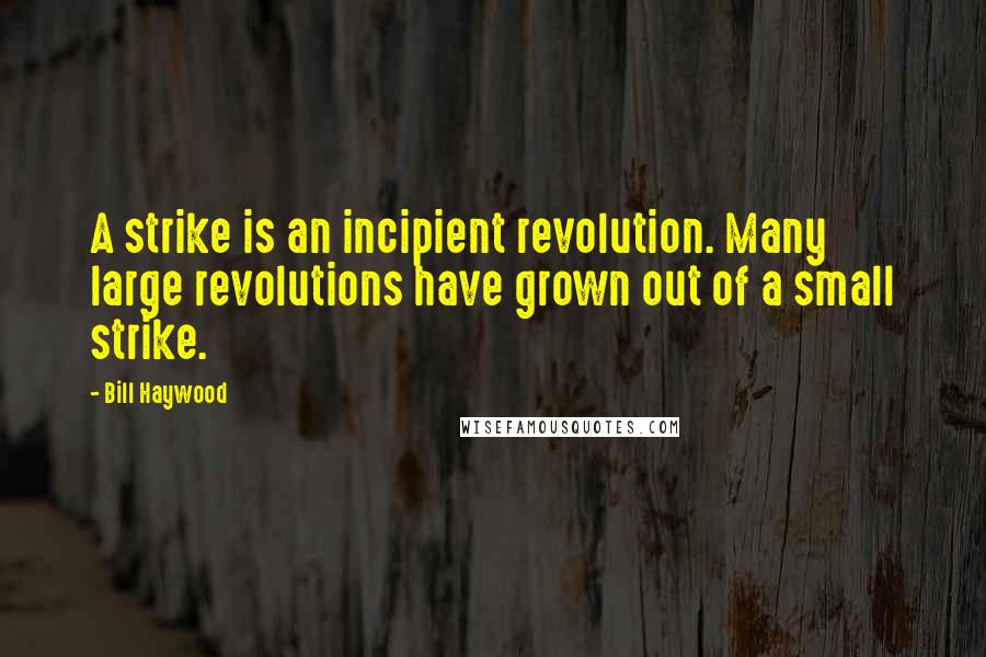 Bill Haywood Quotes: A strike is an incipient revolution. Many large revolutions have grown out of a small strike.