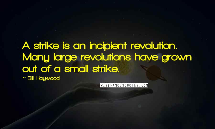 Bill Haywood Quotes: A strike is an incipient revolution. Many large revolutions have grown out of a small strike.