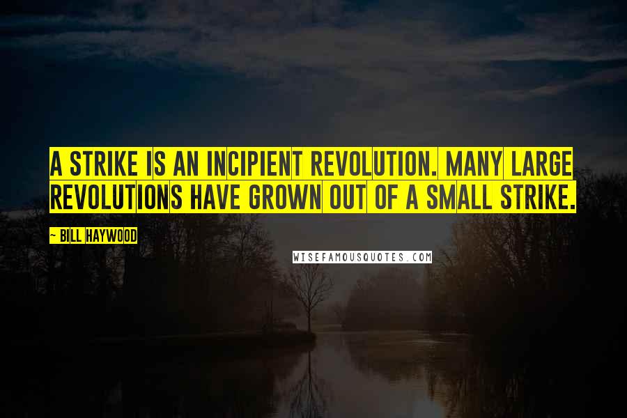 Bill Haywood Quotes: A strike is an incipient revolution. Many large revolutions have grown out of a small strike.