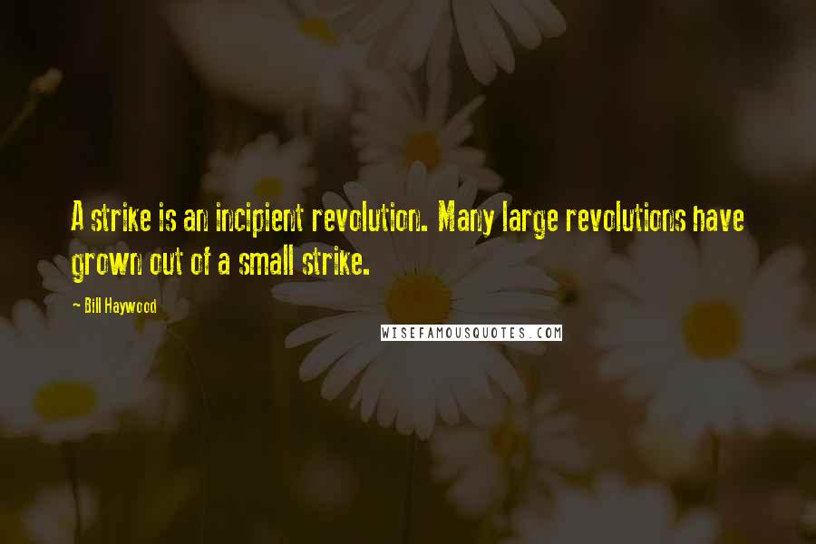 Bill Haywood Quotes: A strike is an incipient revolution. Many large revolutions have grown out of a small strike.