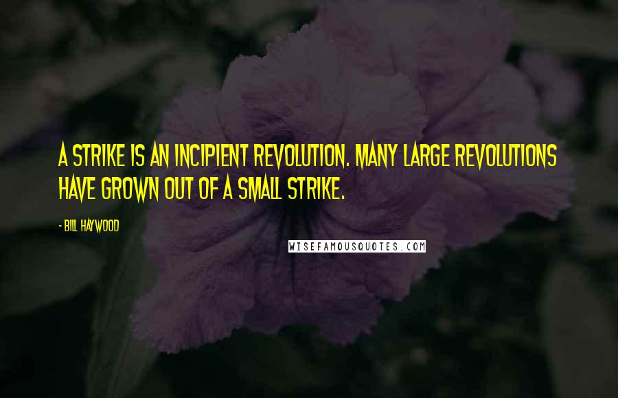 Bill Haywood Quotes: A strike is an incipient revolution. Many large revolutions have grown out of a small strike.