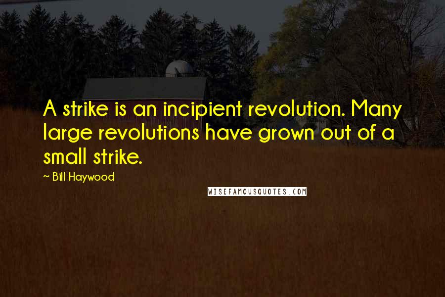 Bill Haywood Quotes: A strike is an incipient revolution. Many large revolutions have grown out of a small strike.