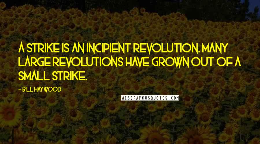 Bill Haywood Quotes: A strike is an incipient revolution. Many large revolutions have grown out of a small strike.