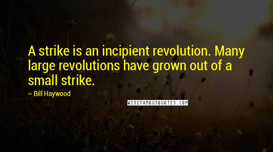 Bill Haywood Quotes: A strike is an incipient revolution. Many large revolutions have grown out of a small strike.