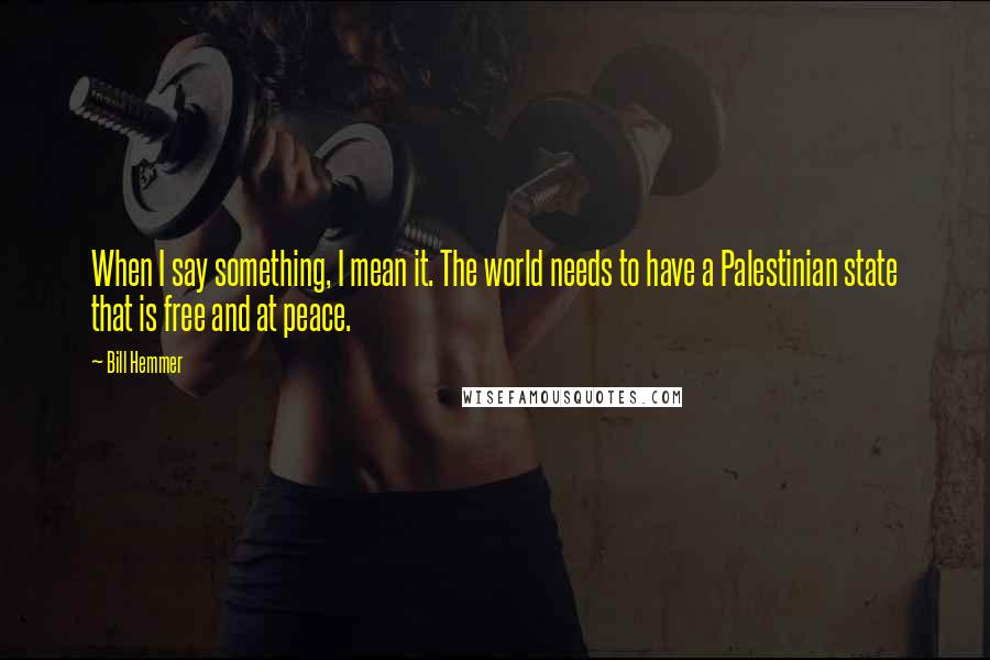 Bill Hemmer Quotes: When I say something, I mean it. The world needs to have a Palestinian state that is free and at peace.