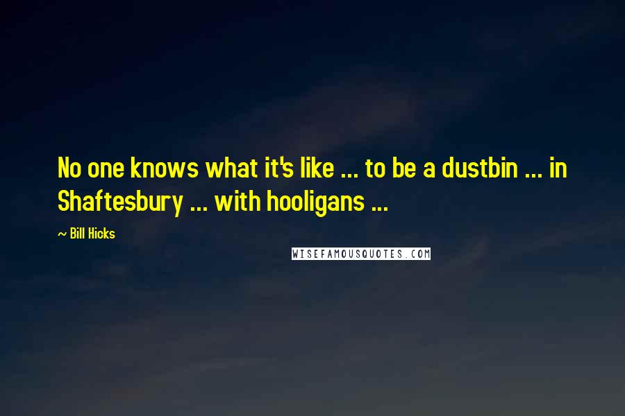 Bill Hicks Quotes: No one knows what it's like ... to be a dustbin ... in Shaftesbury ... with hooligans ...