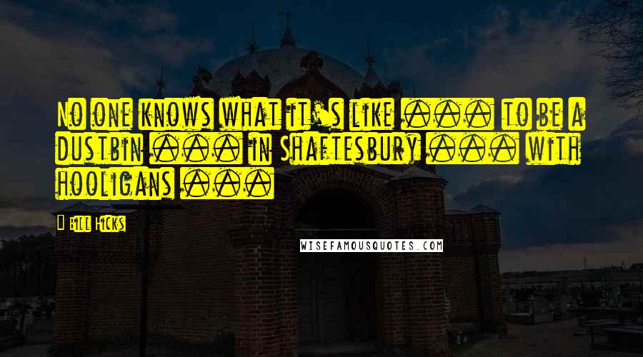 Bill Hicks Quotes: No one knows what it's like ... to be a dustbin ... in Shaftesbury ... with hooligans ...