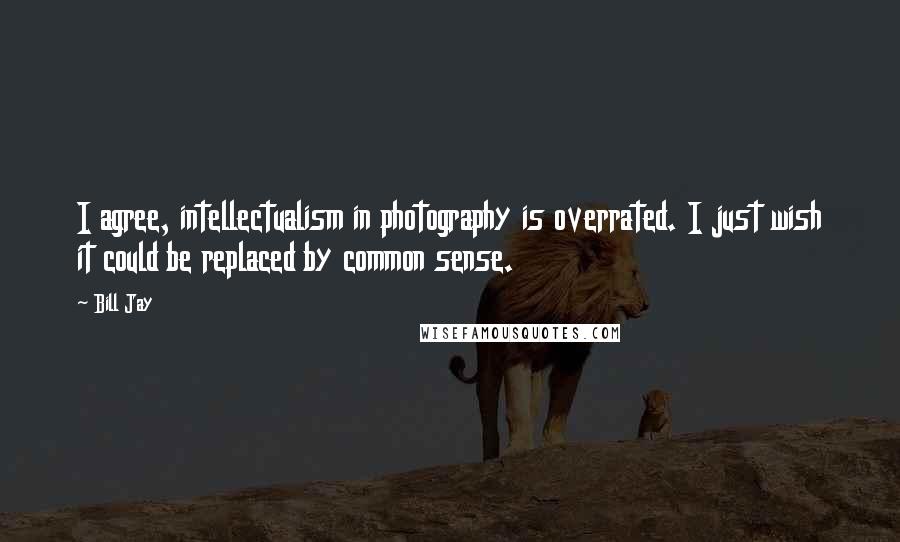 Bill Jay Quotes: I agree, intellectualism in photography is overrated. I just wish it could be replaced by common sense.