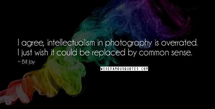 Bill Jay Quotes: I agree, intellectualism in photography is overrated. I just wish it could be replaced by common sense.