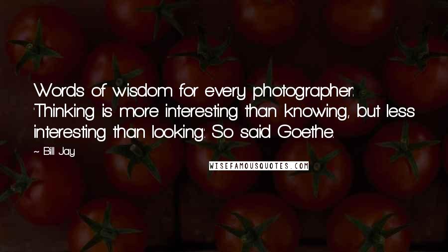 Bill Jay Quotes: Words of wisdom for every photographer: 'Thinking is more interesting than knowing, but less interesting than looking'. So said Goethe.