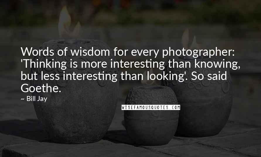 Bill Jay Quotes: Words of wisdom for every photographer: 'Thinking is more interesting than knowing, but less interesting than looking'. So said Goethe.