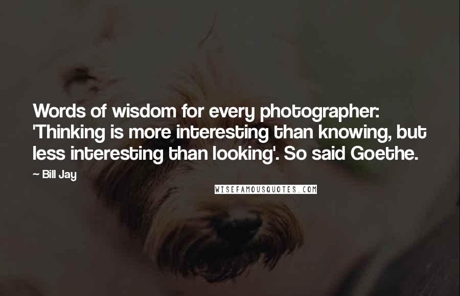 Bill Jay Quotes: Words of wisdom for every photographer: 'Thinking is more interesting than knowing, but less interesting than looking'. So said Goethe.