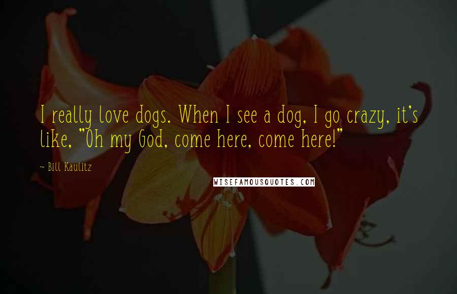 Bill Kaulitz Quotes: I really love dogs. When I see a dog, I go crazy, it's like, "Oh my God, come here, come here!"