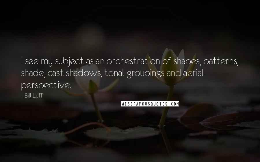 Bill Luff Quotes: I see my subject as an orchestration of shapes, patterns, shade, cast shadows, tonal groupings and aerial perspective.