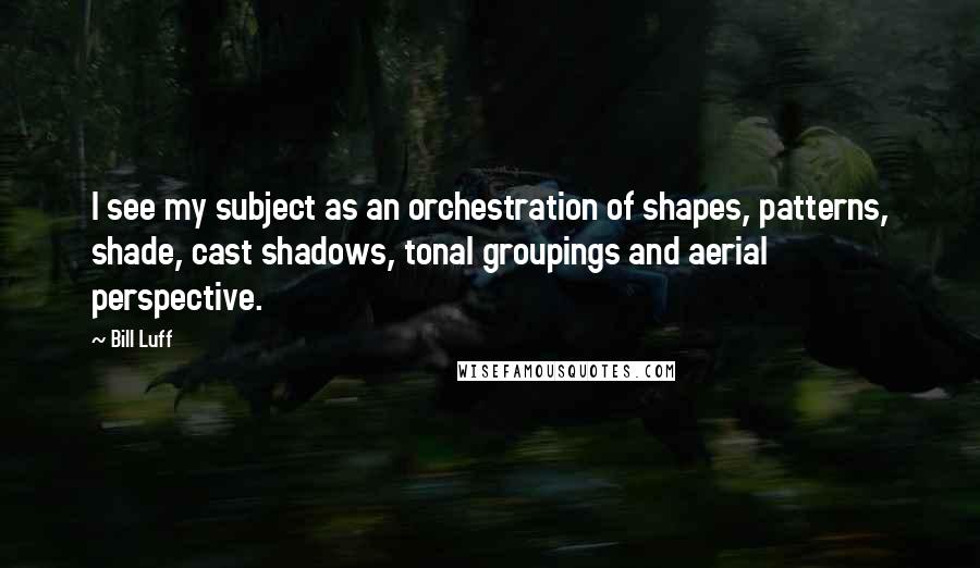 Bill Luff Quotes: I see my subject as an orchestration of shapes, patterns, shade, cast shadows, tonal groupings and aerial perspective.