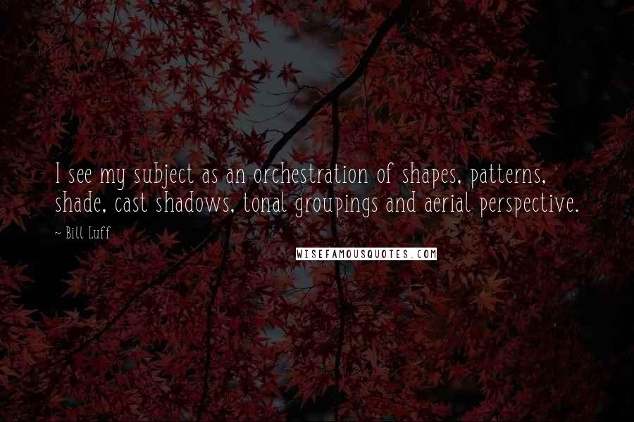 Bill Luff Quotes: I see my subject as an orchestration of shapes, patterns, shade, cast shadows, tonal groupings and aerial perspective.