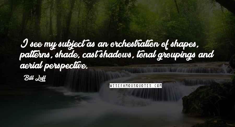 Bill Luff Quotes: I see my subject as an orchestration of shapes, patterns, shade, cast shadows, tonal groupings and aerial perspective.