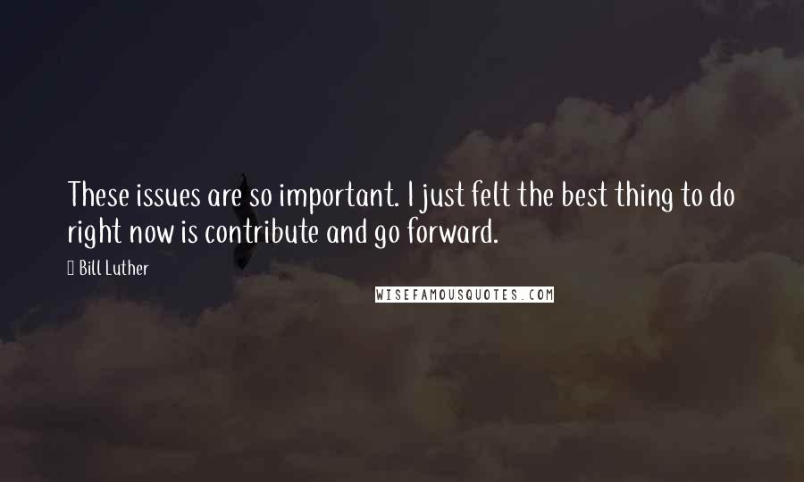 Bill Luther Quotes: These issues are so important. I just felt the best thing to do right now is contribute and go forward.