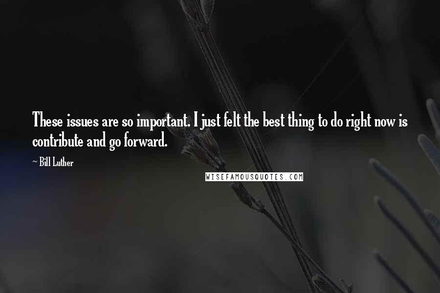 Bill Luther Quotes: These issues are so important. I just felt the best thing to do right now is contribute and go forward.