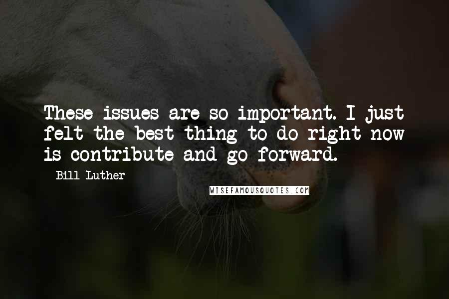 Bill Luther Quotes: These issues are so important. I just felt the best thing to do right now is contribute and go forward.