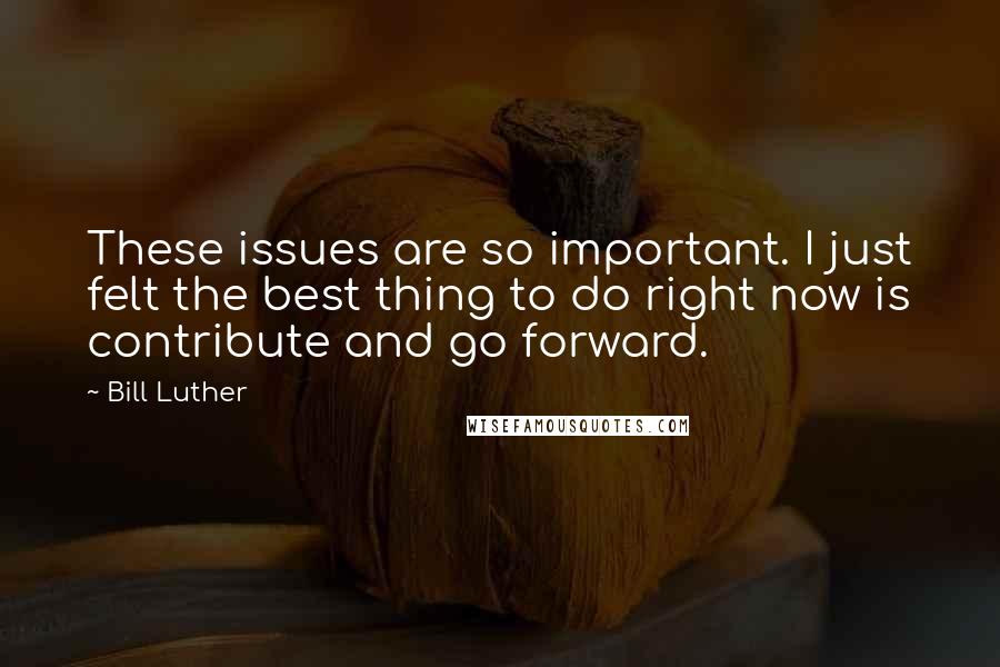 Bill Luther Quotes: These issues are so important. I just felt the best thing to do right now is contribute and go forward.