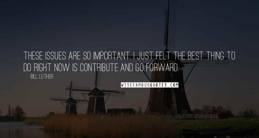 Bill Luther Quotes: These issues are so important. I just felt the best thing to do right now is contribute and go forward.