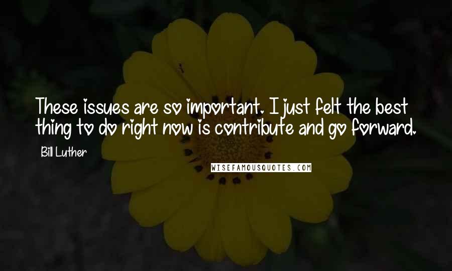 Bill Luther Quotes: These issues are so important. I just felt the best thing to do right now is contribute and go forward.