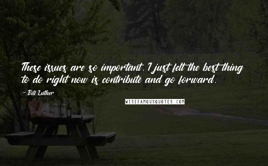 Bill Luther Quotes: These issues are so important. I just felt the best thing to do right now is contribute and go forward.