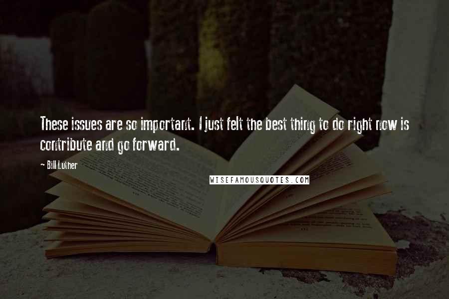 Bill Luther Quotes: These issues are so important. I just felt the best thing to do right now is contribute and go forward.