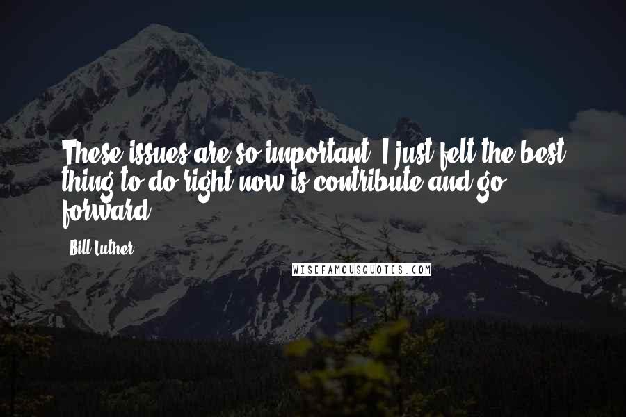 Bill Luther Quotes: These issues are so important. I just felt the best thing to do right now is contribute and go forward.