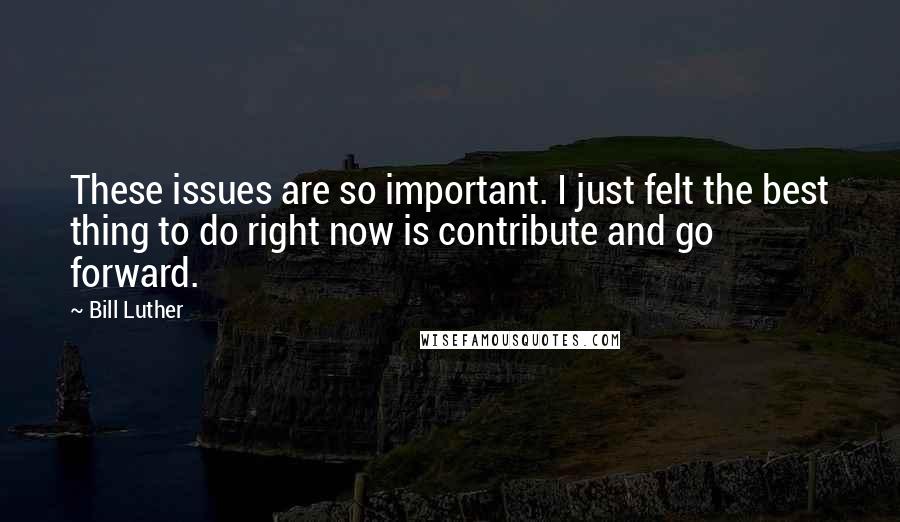 Bill Luther Quotes: These issues are so important. I just felt the best thing to do right now is contribute and go forward.