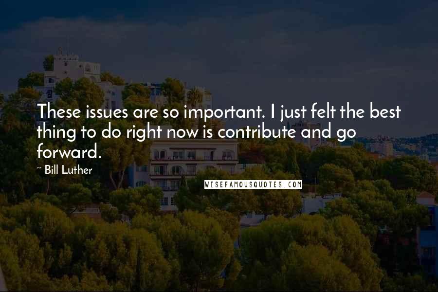 Bill Luther Quotes: These issues are so important. I just felt the best thing to do right now is contribute and go forward.