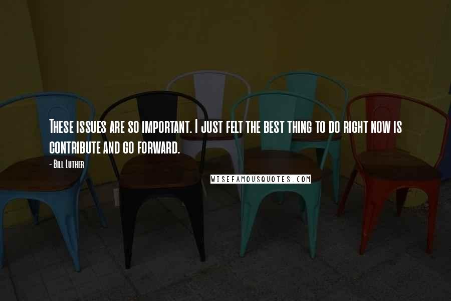 Bill Luther Quotes: These issues are so important. I just felt the best thing to do right now is contribute and go forward.