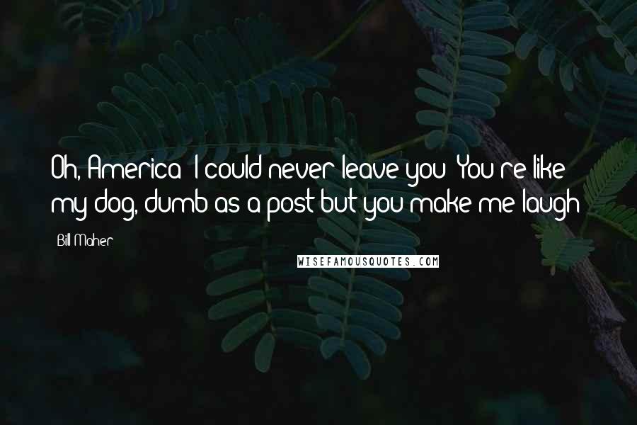 Bill Maher Quotes: Oh, America! I could never leave you! You're like my dog, dumb as a post but you make me laugh!