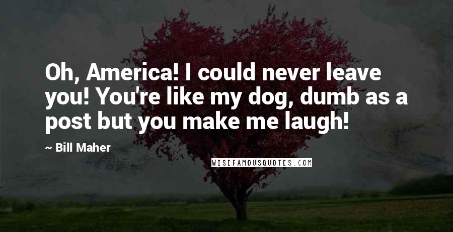 Bill Maher Quotes: Oh, America! I could never leave you! You're like my dog, dumb as a post but you make me laugh!
