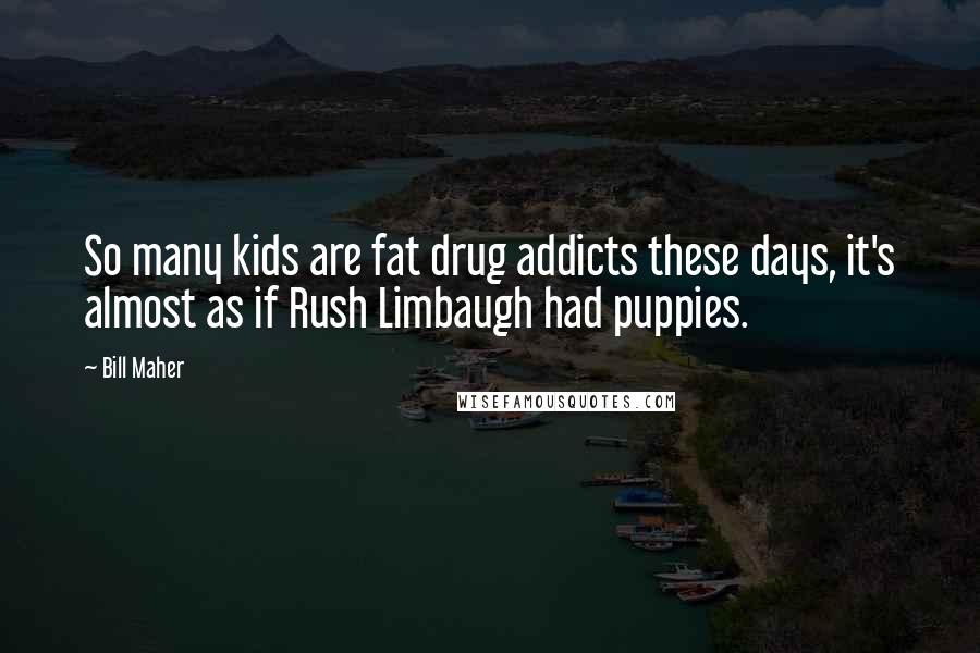 Bill Maher Quotes: So many kids are fat drug addicts these days, it's almost as if Rush Limbaugh had puppies.