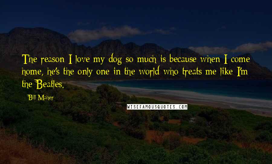 Bill Maher Quotes: The reason I love my dog so much is because when I come home, he's the only one in the world who treats me like I'm the Beatles.