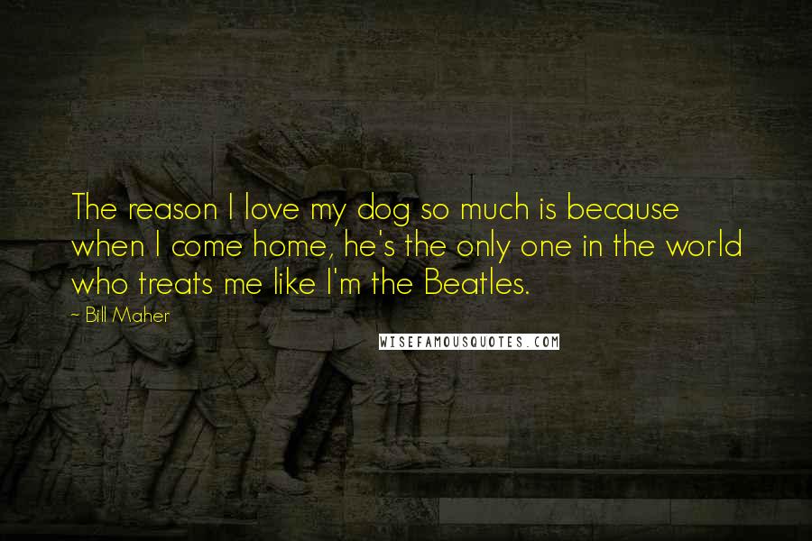 Bill Maher Quotes: The reason I love my dog so much is because when I come home, he's the only one in the world who treats me like I'm the Beatles.