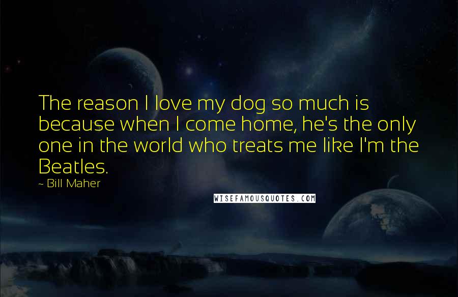 Bill Maher Quotes: The reason I love my dog so much is because when I come home, he's the only one in the world who treats me like I'm the Beatles.